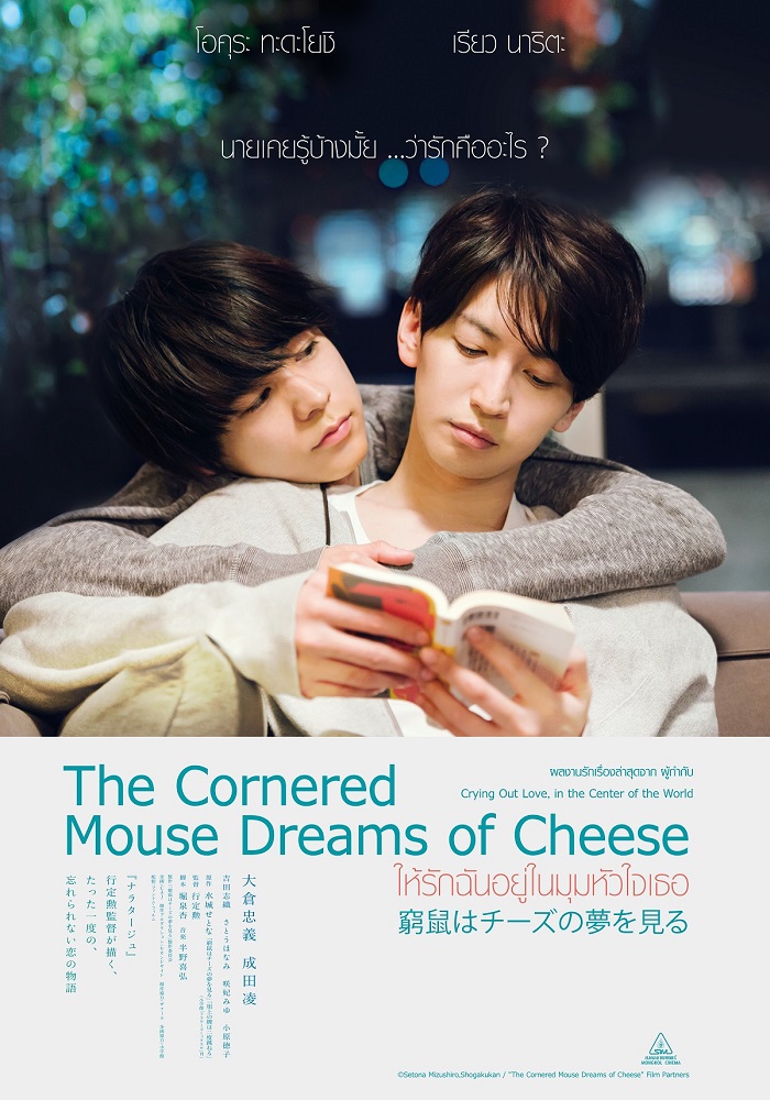 THE CORNERED MOUSE DREAMS OF CHEESE (2020) ให้รักฉันอยู่ในมุมหัวใจเธอ