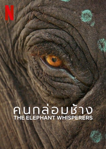 THE ELEPHANT WHISPERERS (2022) คนกล่อมช้าง