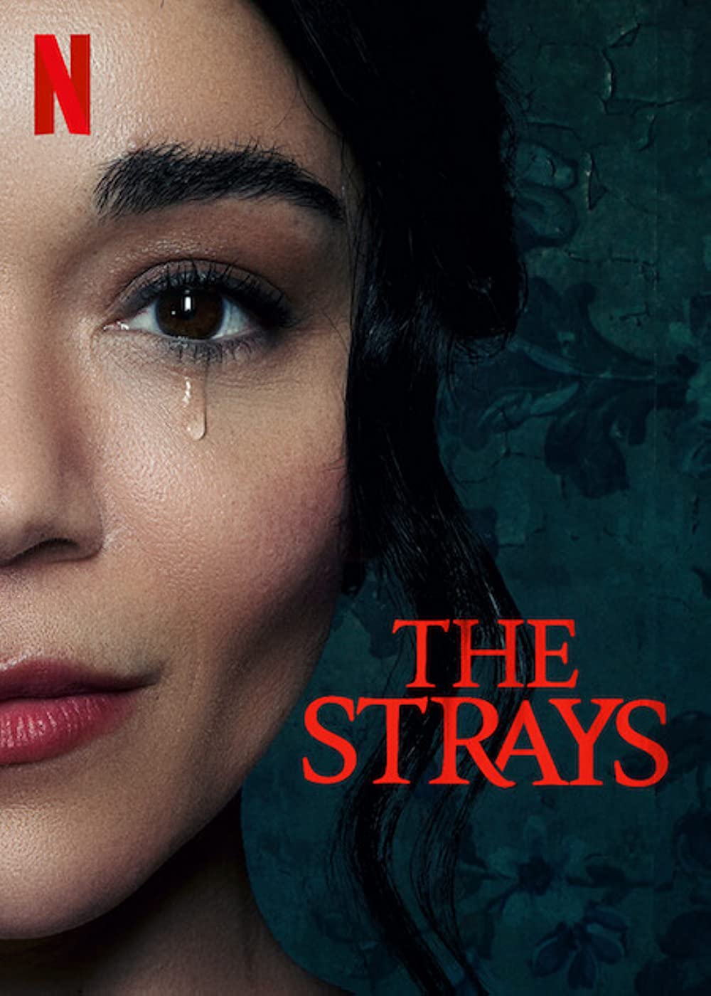 THE STRAYS (2023) คนหลงทาง พากย์ไทย